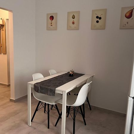 Apartament Paprotka Skarżysko-Kamienna Exteriér fotografie